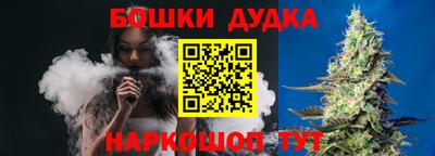PSILOCYBIN Новозыбков