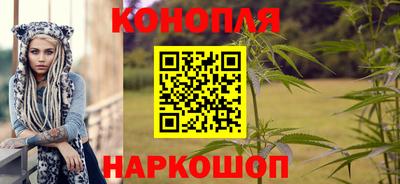 СК Новокубанск