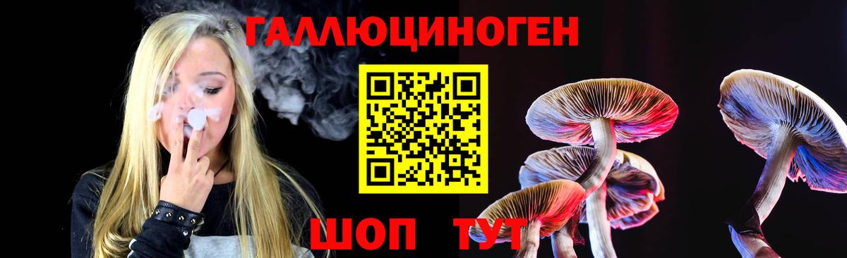 Псилоцибиновые грибы MAGIC MUSHROOMS Сланцы